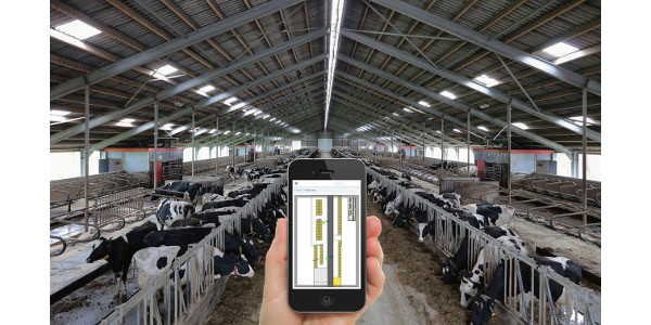 Searching for an answer to rising costs? | Dairy Business News