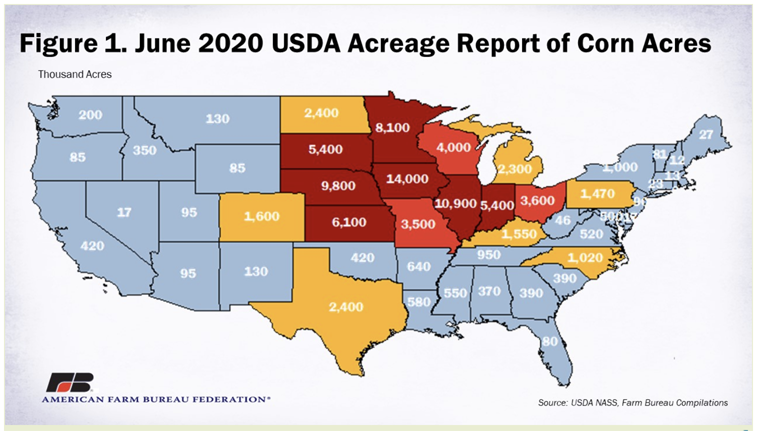 June Acreage Report Shows Sharp Decrease in Corn Planted Area from ...