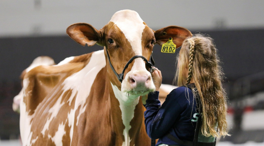 North American International Livestock Exposition (NAILE) returns to North American International Livestock Exposition (NAILE) returns to