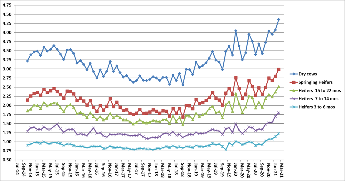 Know the Herd's Maximum Milk Cow Feed Cost Dairy Business News
