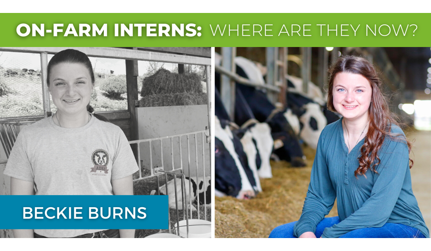 Purina Animal Nutrition Internships Besto Blog