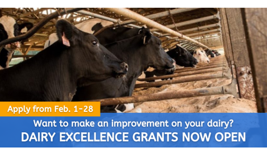 Dairy Excellence Grants Now Open Apply Today Dairy Business News